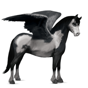 pegasus-pony quarter pony roan