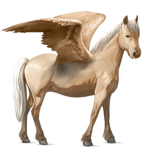 pegasus-pony shetlandpony hellgrau