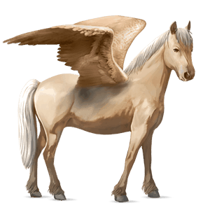 pegasus-pony haflinger palomino