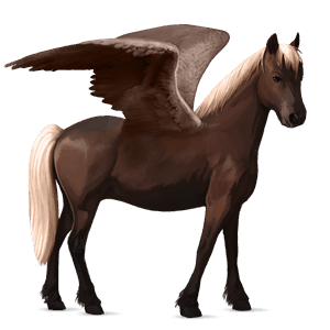 pegasus-pony kerry bog hellgrau