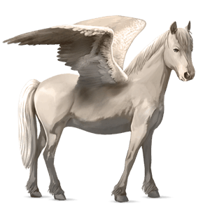 pegasus-pony braunfalben