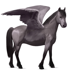 pegasus-pony apfelschimmel