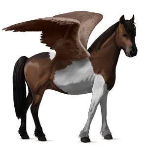 pegasus-pony highlandpony dunkelfuchs mit heller mähne