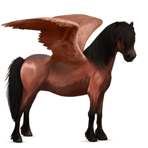 pegasus-pony shetlandpony rotbrauner
