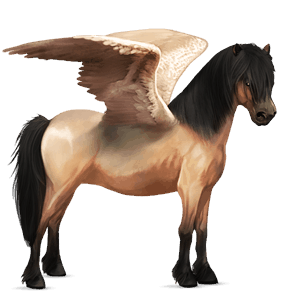 pegasus-pony shetlandpony hellgrau