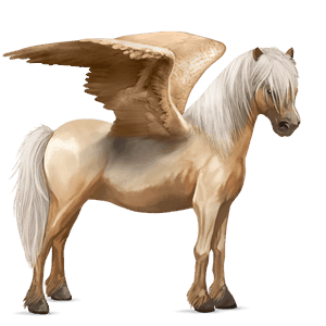 pegasus-pony shetlandpony palomino mit tobiano-scheckung