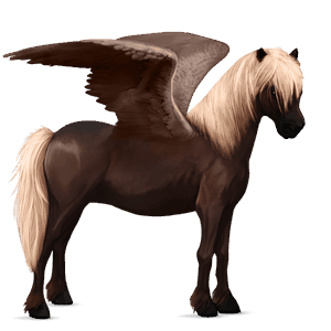 pegasus-pony dunkelbrauner