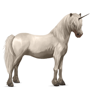 einhorn-pony neufundland pony cremello