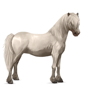 pony quarter pony cremello