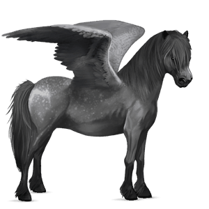 pegasus-pony apfelschimmel