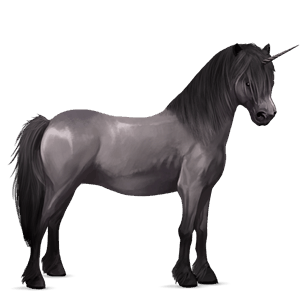 einhorn-pony roan