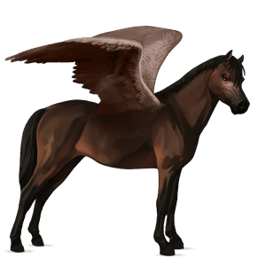 pegasus-pony dunkelbrauner