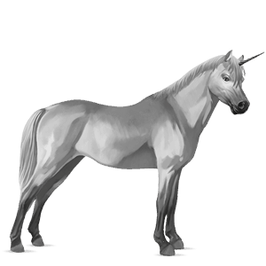 einhorn-pony rotbrauner