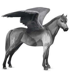 pegasus-pony apfelschimmel