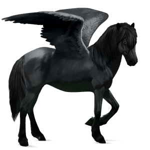 pegasus-reitpferd rappe