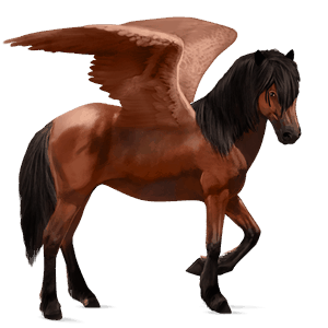 pegasus-reitpferd rotbrauner