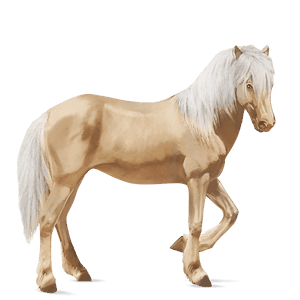 reitpferd andalusier cremello