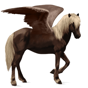 pegasus-reitpferd apfelschimmel