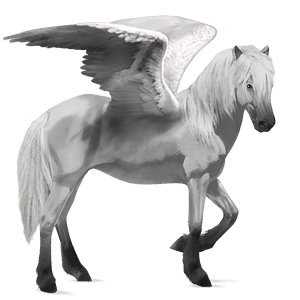 pegasus-reitpferd hellgrau