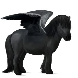 pegasus-pony rappe