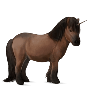 einhorn-pony belgisches reitpony brauner