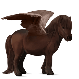 pegasus-pony shetlandpony dunkelfuchs