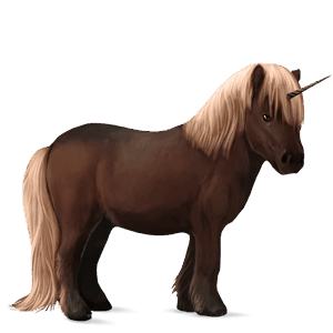 einhorn-pony shetlandpony dunkelfuchs mit heller mähne