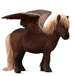 pegasus-pony dunkelbrauner