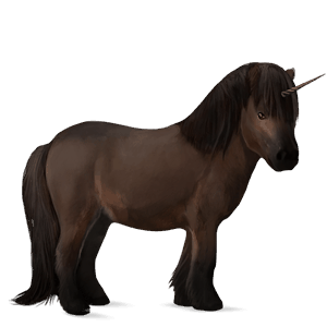 einhorn-pony shetlandpony brauner
