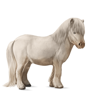 pony cremello