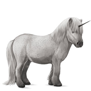 einhorn-pony shetlandpony brauner