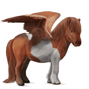 pegasus-pony dunkelfuchs