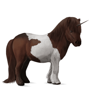 einhorn-pony shetlandpony brauner