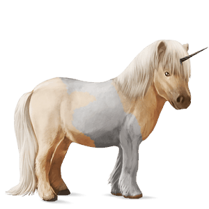 einhorn-pony falbe