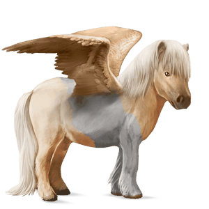 pegasus-pony falbe