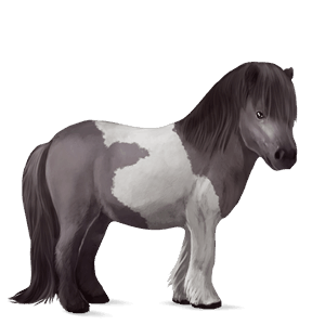 pony rotbrauner