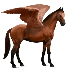 pegasus-reitpferd selle français brauner