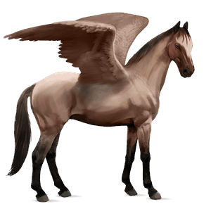 pegasus-reitpferd argentinischer criollo roan