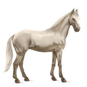 reitpferd tennessee walker cremello