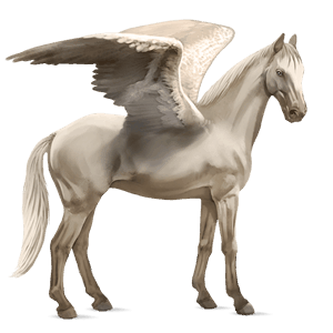 pegasus-reitpferd selle français dunkelbrauner