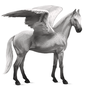 pegasus-reitpferd forellenschimmel