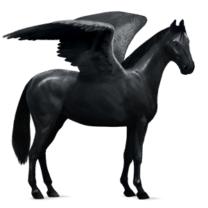 pegasus-reitpferd lusitano rappe