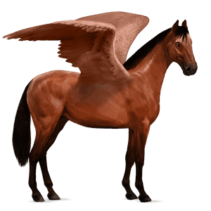 pegasus-reitpferd argentinischer criollo brauner