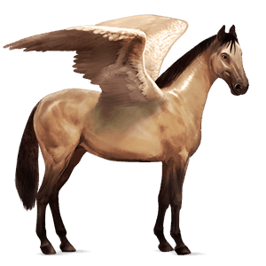 pegasus-reitpferd argentinischer criollo falbe