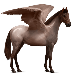 pegasus-reitpferd argentinischer criollo roan