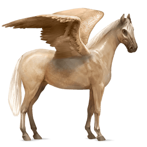 pegasus-reitpferd argentinischer criollo cremello