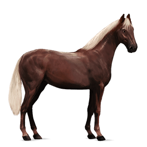 reitpferd lusitano fuchs