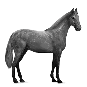 reitpferd paint horse apfelschimmel mit tobiano-scheckung