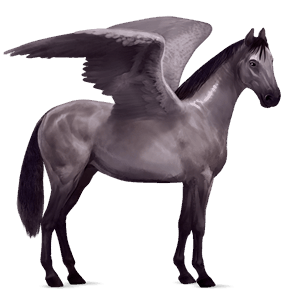 pegasus-reitpferd mausgrau