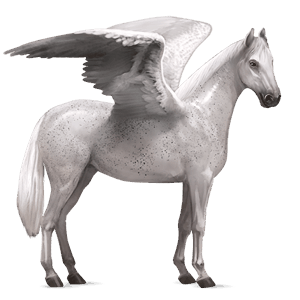 pegasus-reitpferd rotbrauner